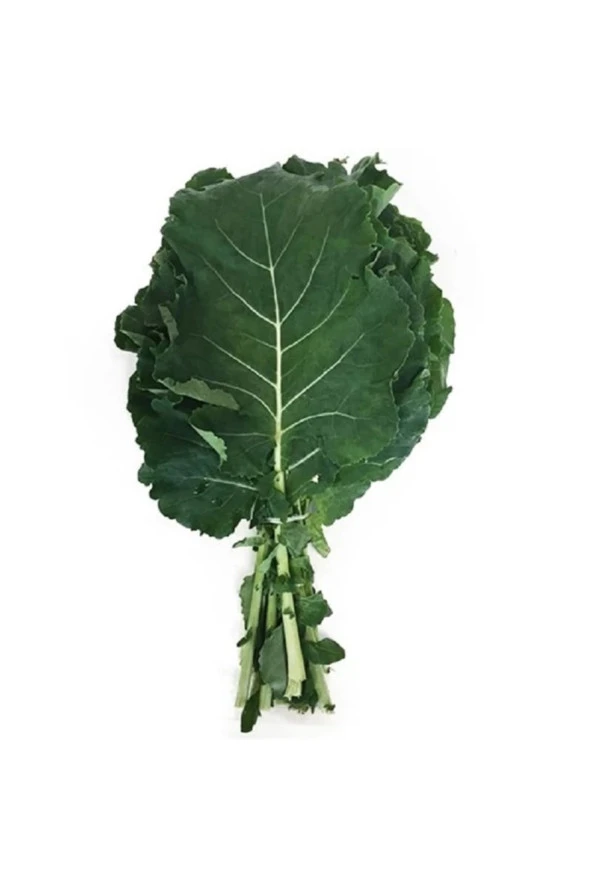 AGRODAL TARIM Ata Tohumu Yöresel Doğal Kara Lahana Karadeniz Lahanası, Yaprak Lahana 100 Adet Yerli Tohum ürün görseli