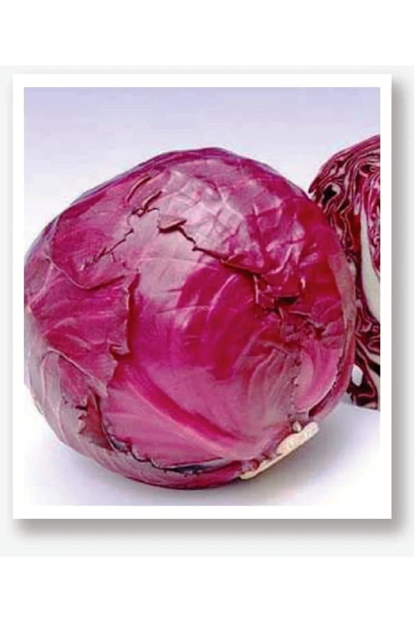 AGRODAL TARIM Yerli Doğal Kara Mor Lahana Mohrenkopf 100 Adet Tohum ürün görseli