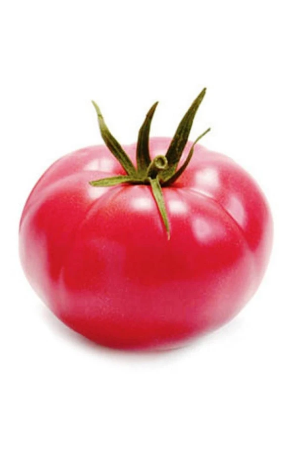 AGRODAL TARIM Ata Tohumu Yerli Doğal Ege Pembesi Oturak Domates Tohumu 100 Ad. Sebze Tohumu ürün görseli