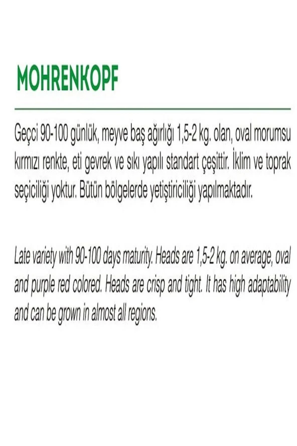 AGRODAL TARIM Yerli Doğal Kara Mor Lahana Mohrenkopf 100 Adet Tohum - Resim 2
