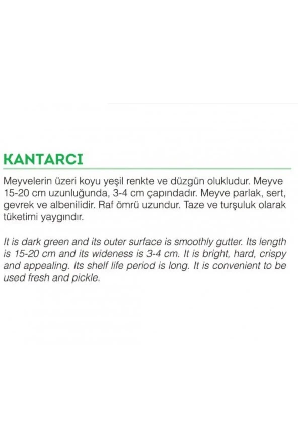 AGRODAL TARIM Ata Tohumu Yerli Doğal Turşuluk Kara Acur Kantarcı 100 Adet Tohum - Resim 2