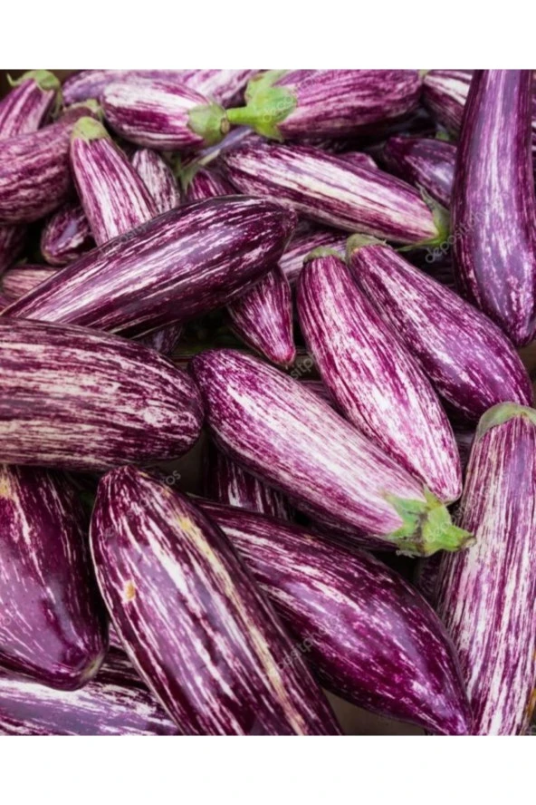 AGRODAL TARIM Ata Tohumu Yöresel Doğal Yerli Meşhur Çizgili Patlıcan 100 Adet Tohum - Resim 3