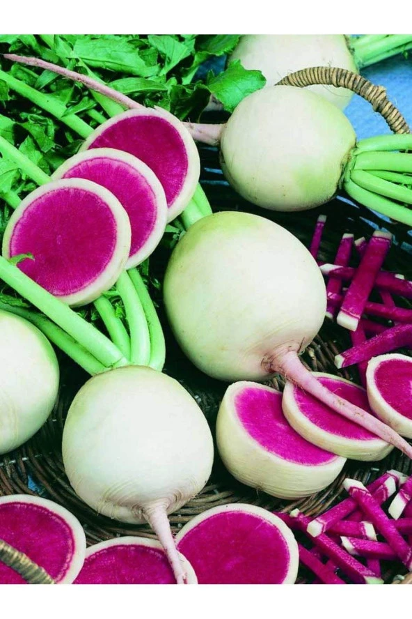 AGRODAL TARIM Ata Tohumu Yerli Doğal Içi Kırmızı Çin Turpu 100 Ad. Sebze Tohumu ürün görseli