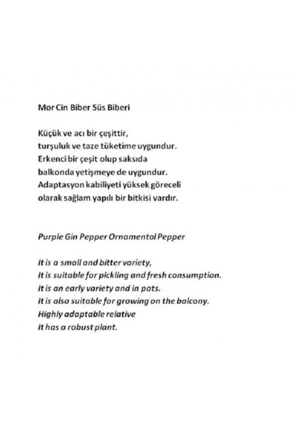 AGRODAL TARIM Ata Tohumu Yerli Doğal Acı Mor Cin Biberi 100 Adet Tohum - Resim 3