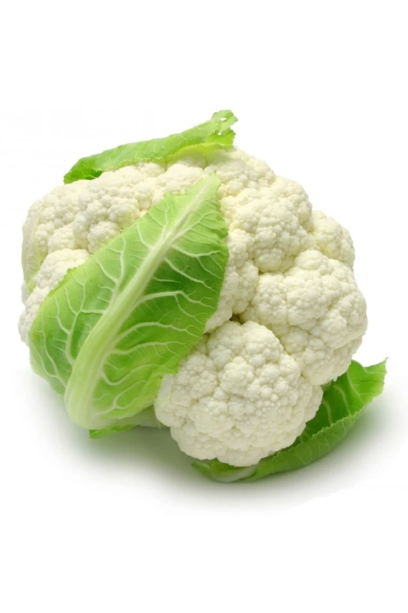 AGRODAL TARIM Yerli Doğal Yüksek Verimli Karnabahar Tohumu 100 Ad. Tohum ürün görseli