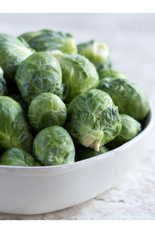 AGRODAL TARIM Yerli Doğal Mini Lahana Brüksel 100 Ad. Tohum ürün görseli