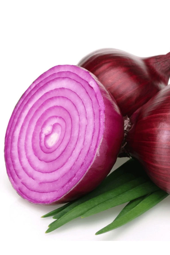 AGRODAL TARIM Ata Tohumu Yerli Doğal Çorum Mor Soğan Tohumu 100 Ad. Sebze Tohumu ürün görseli