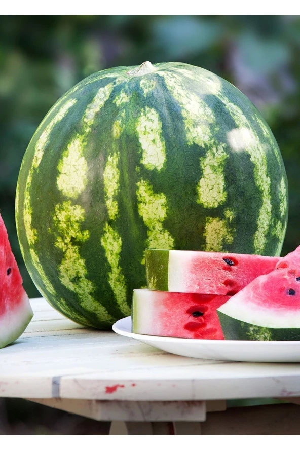 AGRODAL TARIM Ata Tohumu Yerli Doğal Diyarbakır Karpuzu C.sweet Tipi 100 Ad. Sebze Tohumu ürün görseli