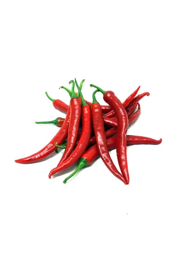 AGRODAL TARIM Ithal Doğal Acı Şili Biberi Acı Biber Hot Chılean Pepper 100 Ad Tohum