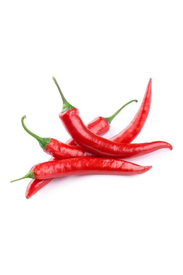 AGRODAL TARIM Ithal Doğal Acı Şili Biberi Acı Biber Hot Chılean Pepper 100 Ad Tohum - 2