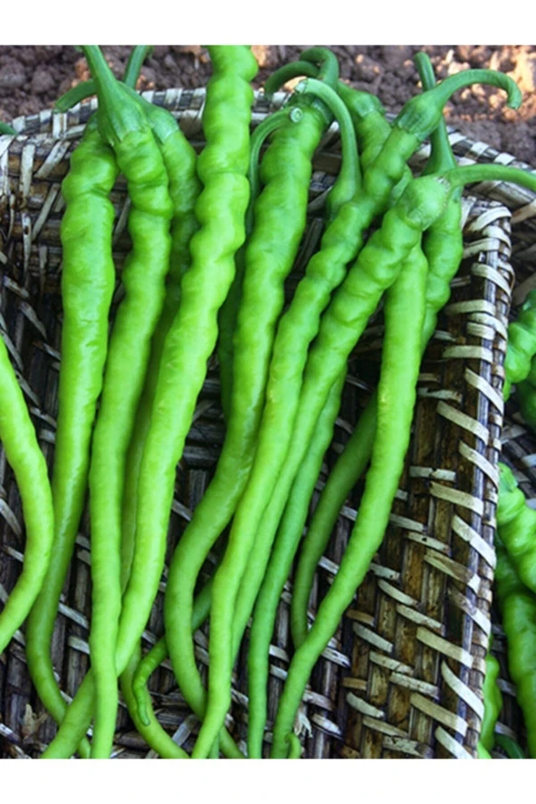 ERDEM GARDEN Doğal Tatlı Sivri Çetinel Biber Sebze Tohumu 100 Ad. Yerli Tohum ürün görseli