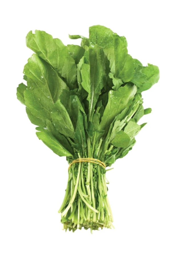 ERDEM GARDEN Doğal Geniş Yaprak Ispanak Yeşil Sebze Tohumu 100 Ad. Yerli Tohum ürün görseli