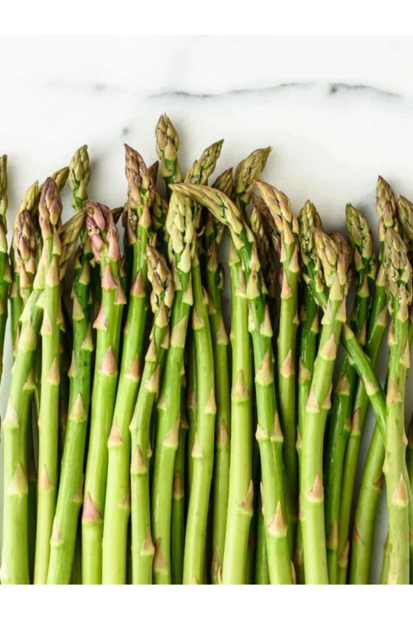 ERDEM GARDEN Doğal Kuşkonmaz Saray Sebze Tohumu 40 Ad. Yerli Tohum ürün görseli