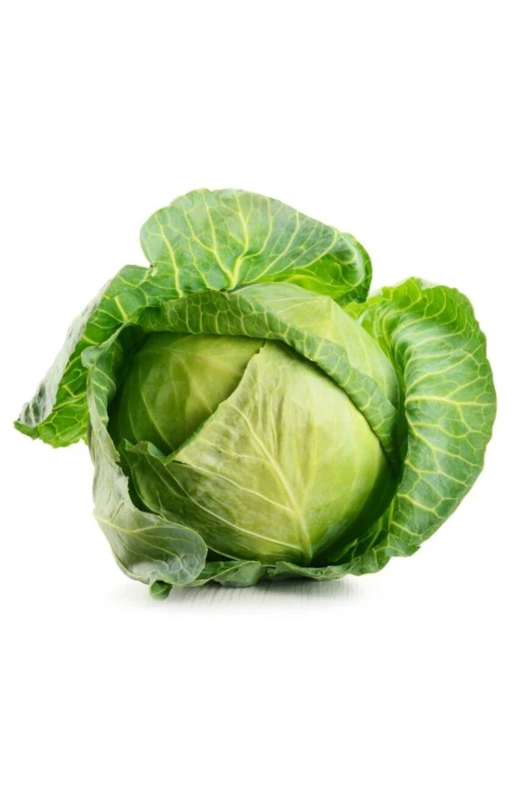 ERDEM GARDEN Doğal Beyaz Lahana Yalova Tipi Sebze Tohumu 100 Ad. Yerli Tohum ürün görseli