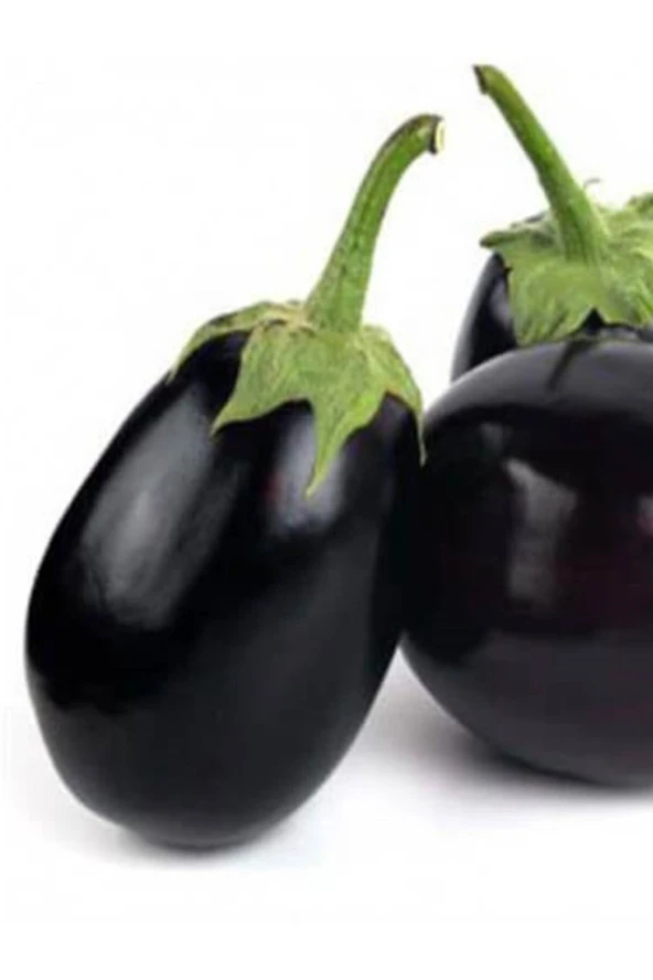 ERDEM GARDEN Doğal Topak Patlıcan Sebze Tohumu Topan 100 Ad. Yerli Tohum ürün görseli