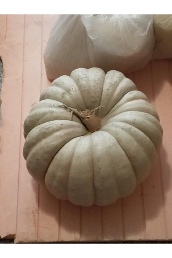 ERDEM GARDEN Doğal Kışlık Balkabağı Sebze Tohumu 10 Ad. Yerli Tohum ürün görseli