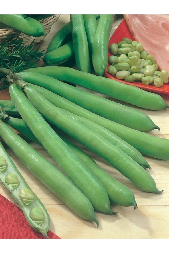 ERDEM GARDEN Doğal Anadolu Bakla Tohumu 30 Ad. Yerli Tohum ürün görseli