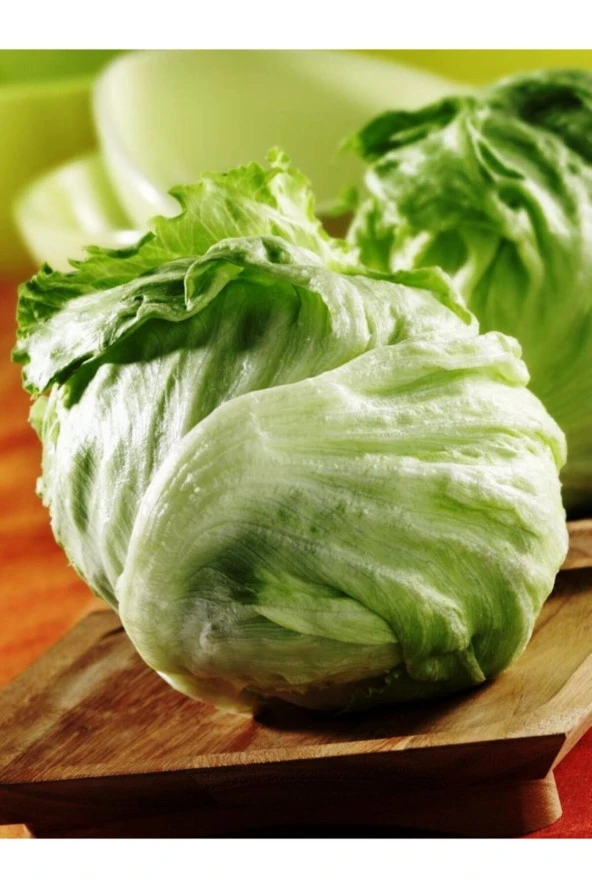 ERDEM GARDEN Yerli Doğal Göbek Marul (ICEBERG) Tohumu 100 Ad. Tohum ürün görseli