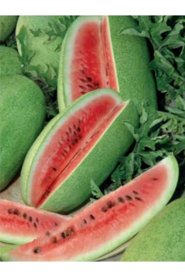 ERDEM GARDEN Yerli Doğal Charleston Gray Karpuzu Karpuz Tohumu 20 Ad Tohum ürün görseli