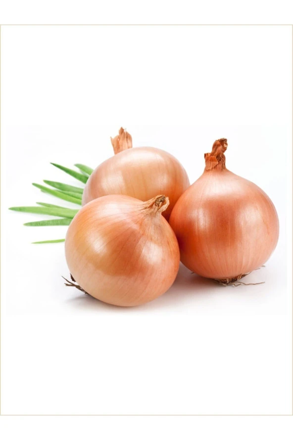 ERDEM GARDEN Doğal Yerli Sarı Soğan Canpolat Sebze Tohumu (BANKO TİPİ) 100 Ad. Yerli Tohum ürün görseli