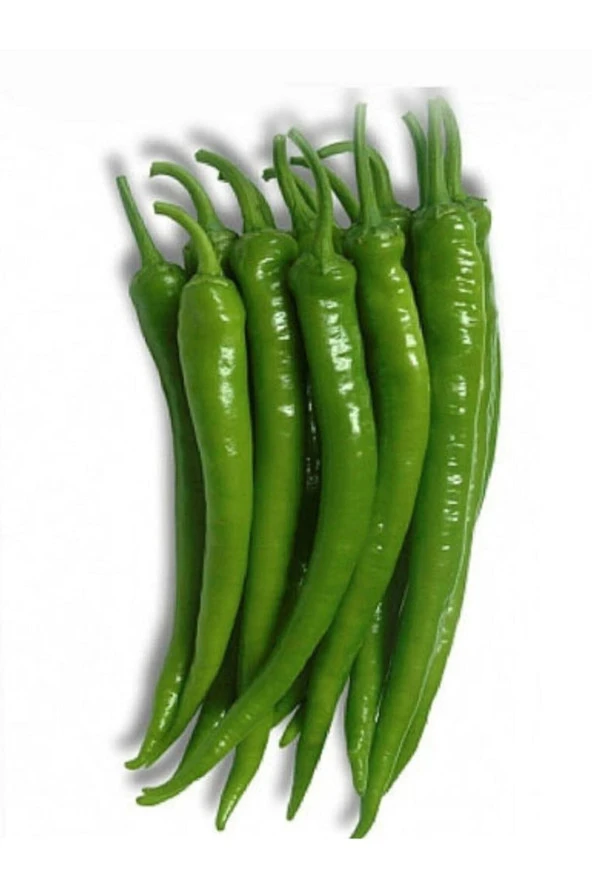 ERDEM GARDEN Doğal Acı Sivri Biber Ilıcalı Ata Sebze Tohumu 100 Ad. Yerli Tohum ürün görseli