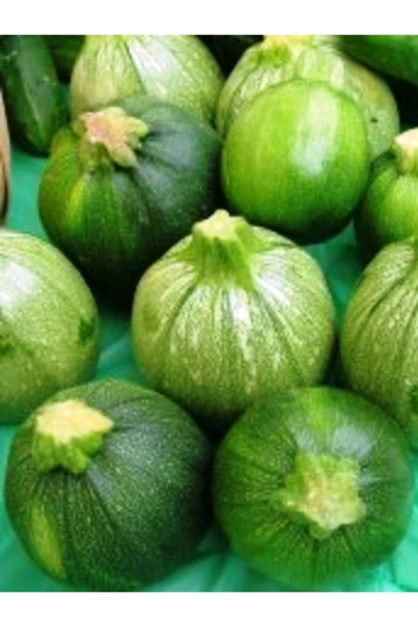 ERDEM GARDEN Doğal Topak Kara Kabak Sebze Tohumu Karatopak 20 Ad. Yerli Tohum ürün görseli