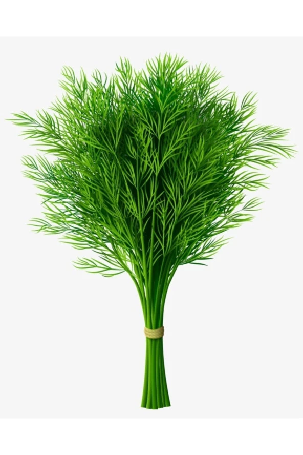 ERDEM GARDEN Doğal Dereotu Yeşil Sebze Tohumu 1000 Ad. Yerli Tohum ürün görseli