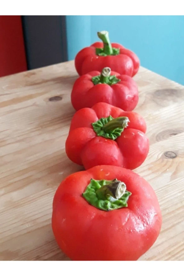 ERDEM GARDEN Doğal Meşhur Domates Tipli Biber Sebze Tohumu 100 Ad. Yerli Tohum ürün görseli
