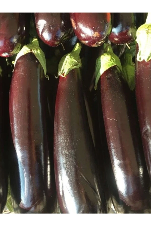 ERDEM GARDEN Doğal Patlıcan Kemer 27 Çeşidi Sebze Tohumu 100 Ad. Yerli Tohum ürün görseli