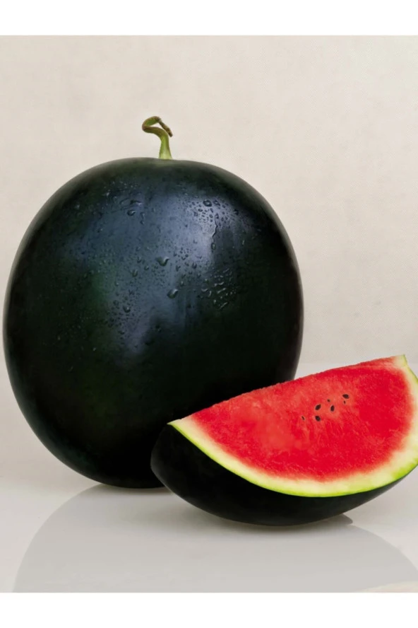 ERDEM GARDEN Doğal Siyah Karpuz Tohumu Washington Tipi 50 Ad. Yerli Tohum ürün görseli