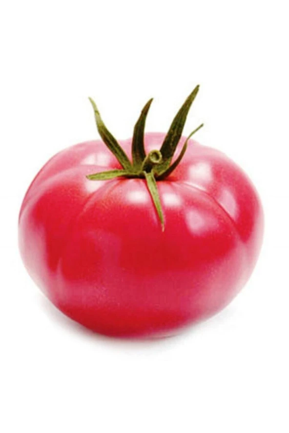 ERDEM GARDEN Doğal Ege Pembesi Domates Sebze Tohumu 100 Ad. Yerli Tohum ürün görseli