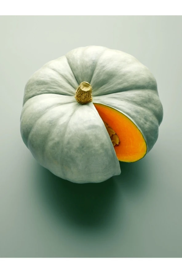 ERDEM GARDEN Doğal Balkabak Arıcan 97 Tipi Balkabağı Sebze Tohumu 20 Ad. Yerli Tohum ürün görseli