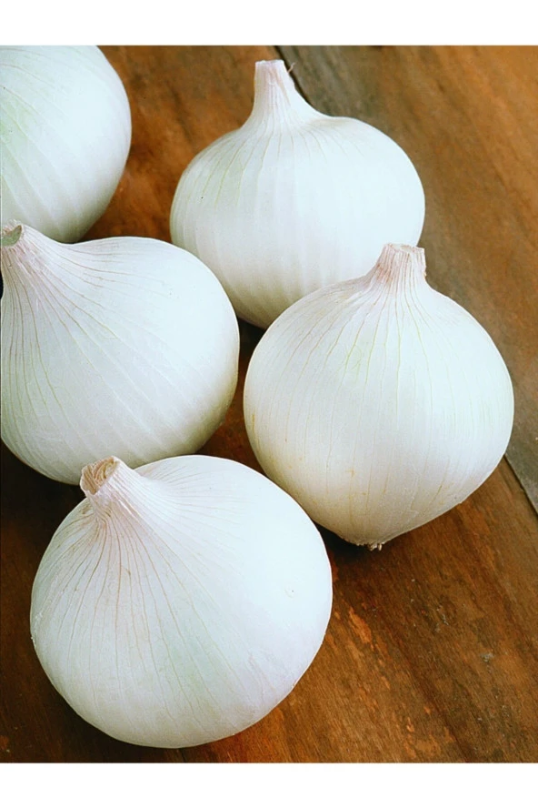 ERDEM GARDEN Yerli Doğal Beyaz Soğan Tohumu 100 Ad. Tohum ürün görseli