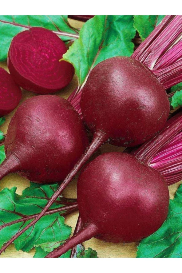 ERDEM GARDEN Yerli Doğal Kırmızı Pancar Tohumu 100 Ad. Tohum ürün görseli