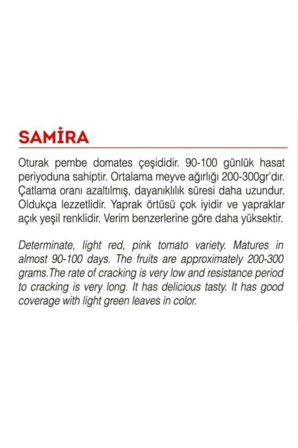 AGRODAL TARIM Ata Tohumu Yerli Doğal Oturak Pembe Köy Domatesi 100 Adet Tohum - Resim 2