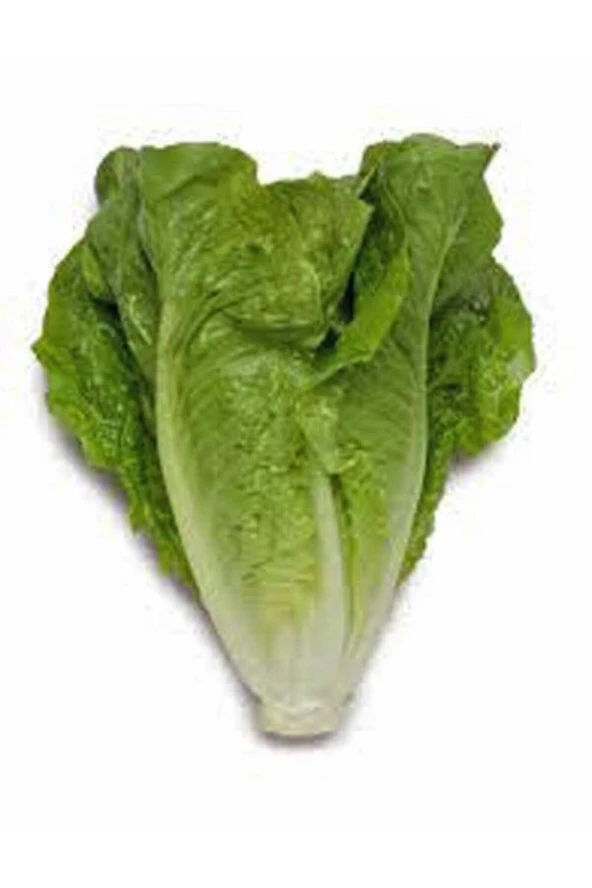 ERDEM GARDEN Yerli Doğal Marul Tohumu Yedikule 1000 Ad. Tohum ürün görseli