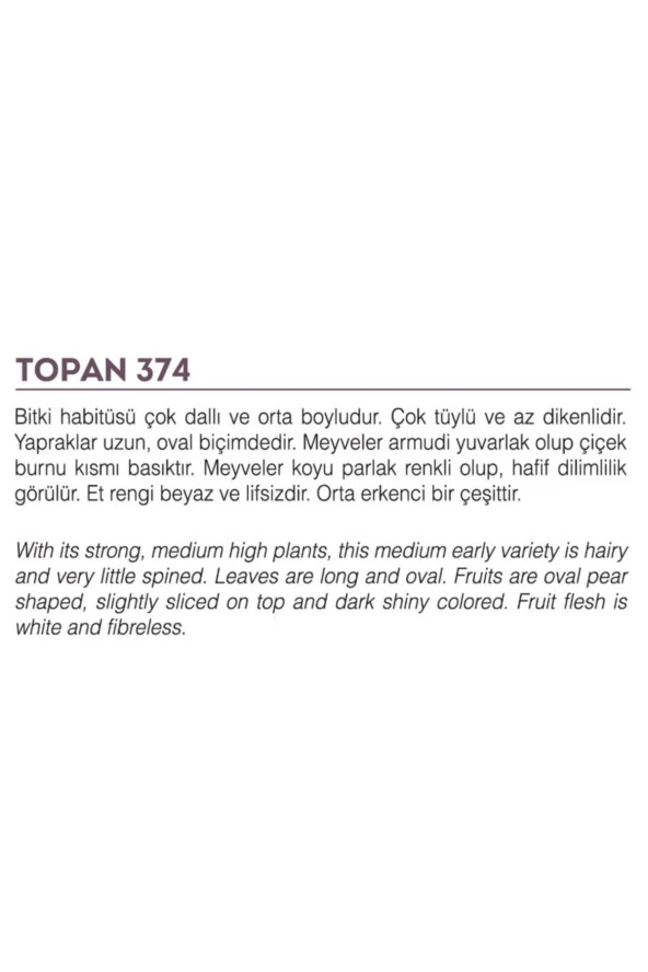 AGRODAL TOHUM Ata Tohumu Yöresel Yerli Doğal Topak Patlıcan Tohumu 100 Adet Tohum - Resim 2