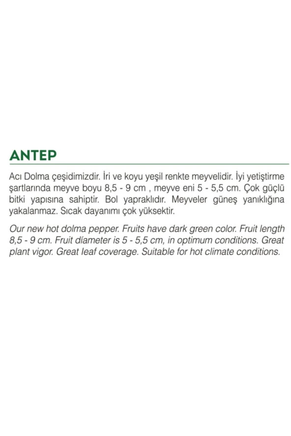 AGRODAL TARIM Ata Tohumu Yöresel Yerli Doğal Acı Dolma Biber Antep 100 Adet Tohum - 2