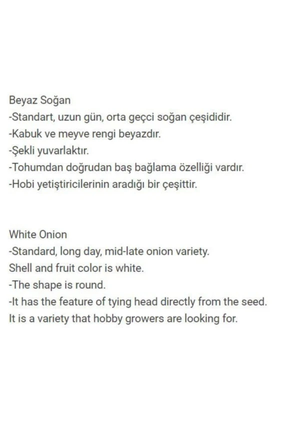 AGRODAL TARIM Yerli Doğal Beyaz Baş Soğan 500 Adet Tohum - Resim 2