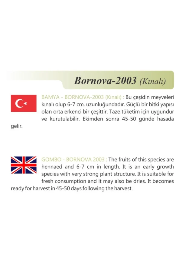 AGRODAL TARIM Ata Tohumu Yerli Doğal Kınalı Bamya 100 Adet Tohum - Resim 2