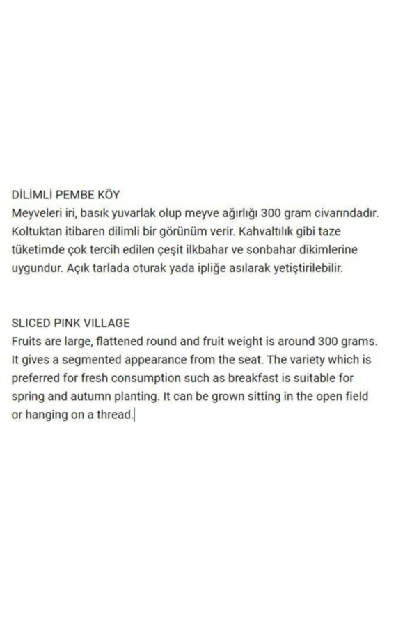 AGRODAL TARIM Ata Tohumu Yerli Oturak Dilimli Pembe Köy Domatesi 100 Adet Doğal Tohum - Resim 3