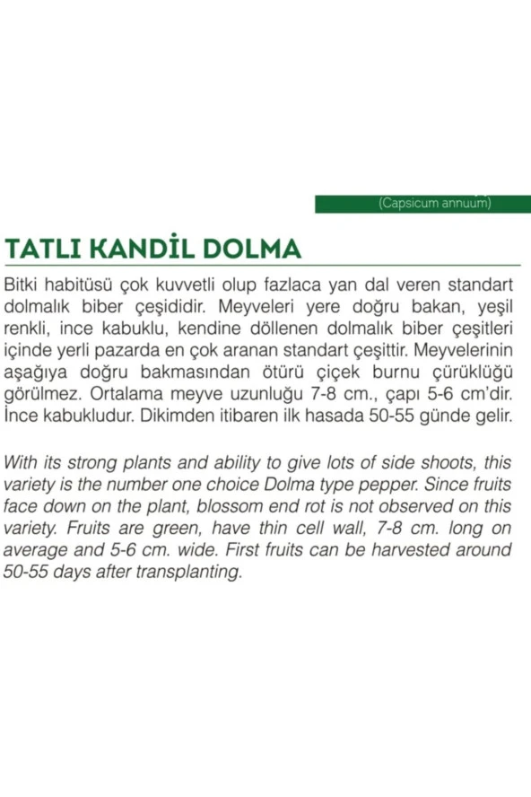 AGRODAL TARIM Ata Tohumu Yerli Tatlı Kandil Dolma Biberi 100 Adet Doğal Tohum - Resim 2