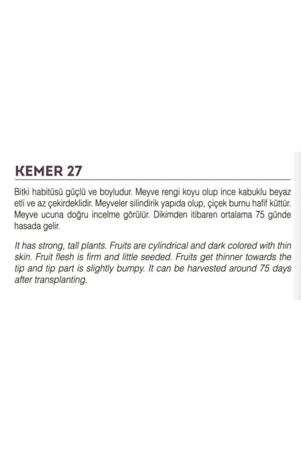 AGRODAL TARIM Ata Tohumu Yöresel Yerli Doğal Kemer Patlıcan Tohumu 100 Adet Tohum - Resim 2