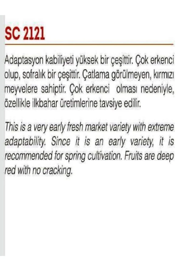 AGRODAL TARIM Ata Tohumu Yerli Doğal Oturak Sofralık Sc-2121 Domates 100 Adet Sebze Tohumu - Resim 2