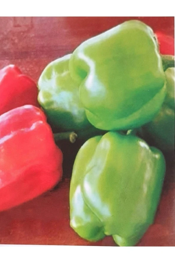 AGRODAL TARIM Ata Tohumu Yerli Yöresel Doğal Biber Acı Dolma 500 Ad Tohum ürün görseli