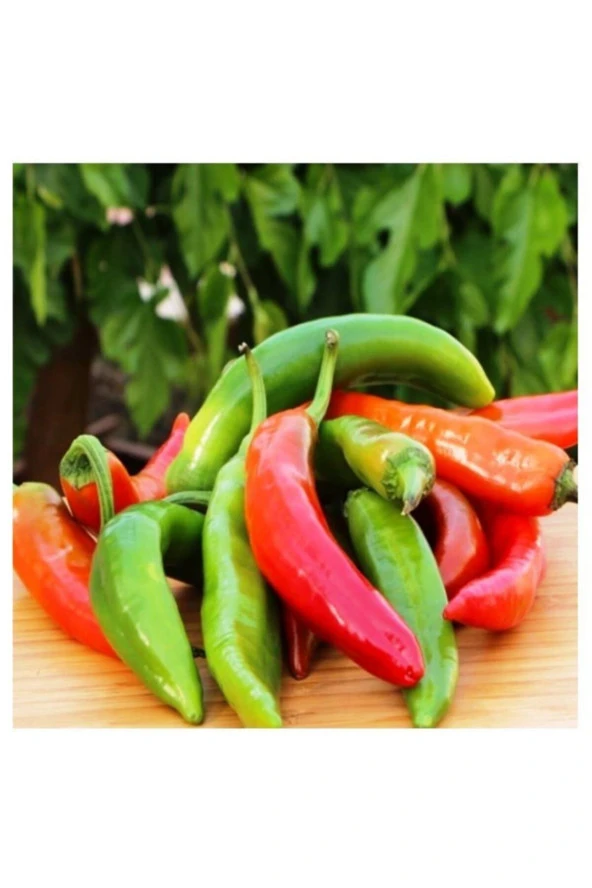 AGRODAL TARIM Ata Tohumu Yerli Çok Acı Hatay Biberi 500 Ad Doğal Tohum ürün görseli