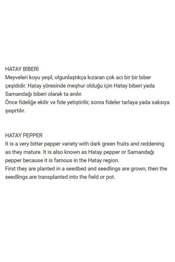 AGRODAL TARIM Ata Tohumu Yerli Çok Acı Hatay Biberi 500 Ad Doğal Tohum - Resim 2