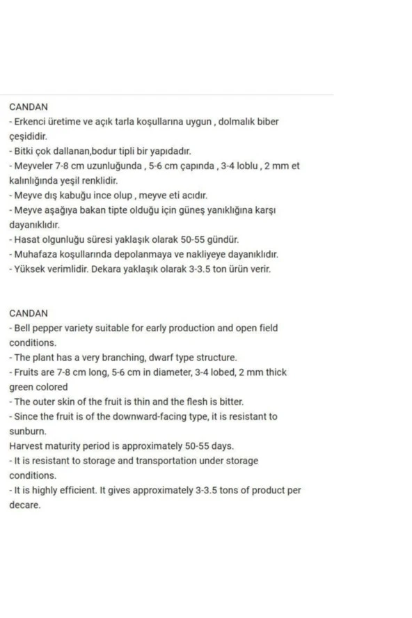 AGRODAL TARIM Ata Tohumu Yerli Doğal Hatay Acı Dolma Biberi 500 Adet Tohum - Resim 2