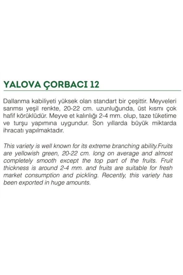 AGRODAL TARIM Ata Tohumu Doğal Tatlı Sivri Biber Yalova Çorbacı 100 Adet Yerli Tohum - Resim 2