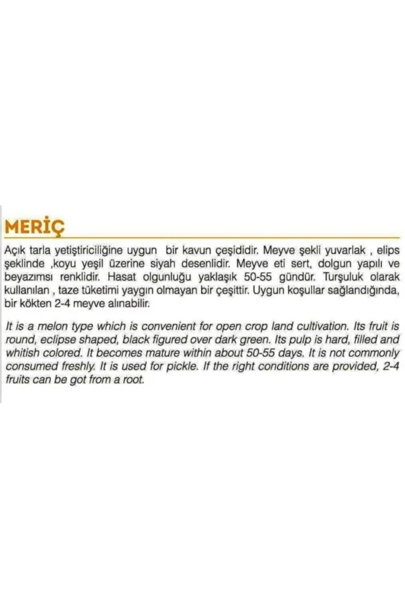 AGRODAL TARIM Ata Tohumu Yerli Turşuluk Doğal Kara Kavun Meriç 100 Adet Tohum - Resim 2